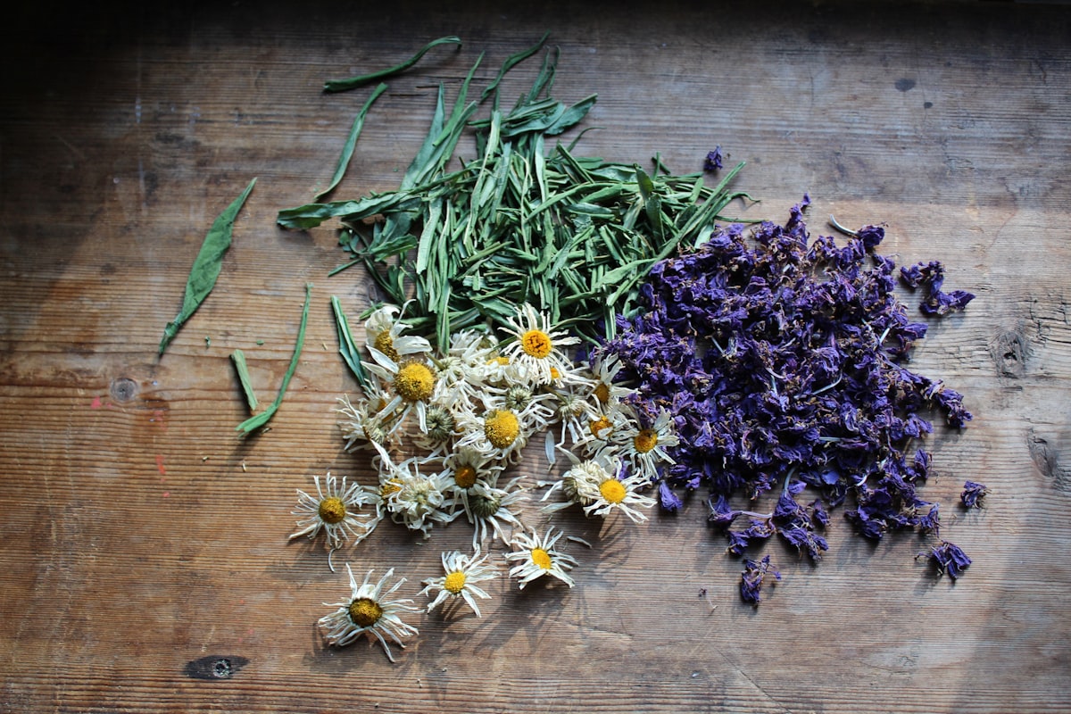 Herbal traditions for wellness