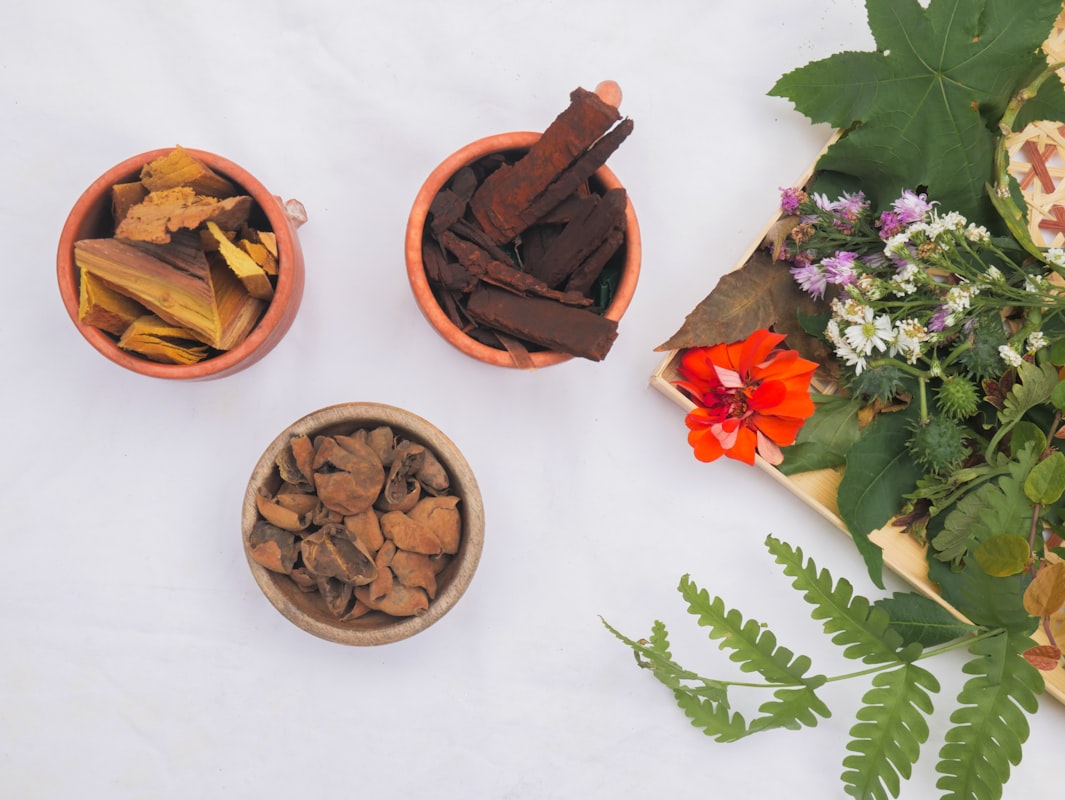 Traditional wellness heritage